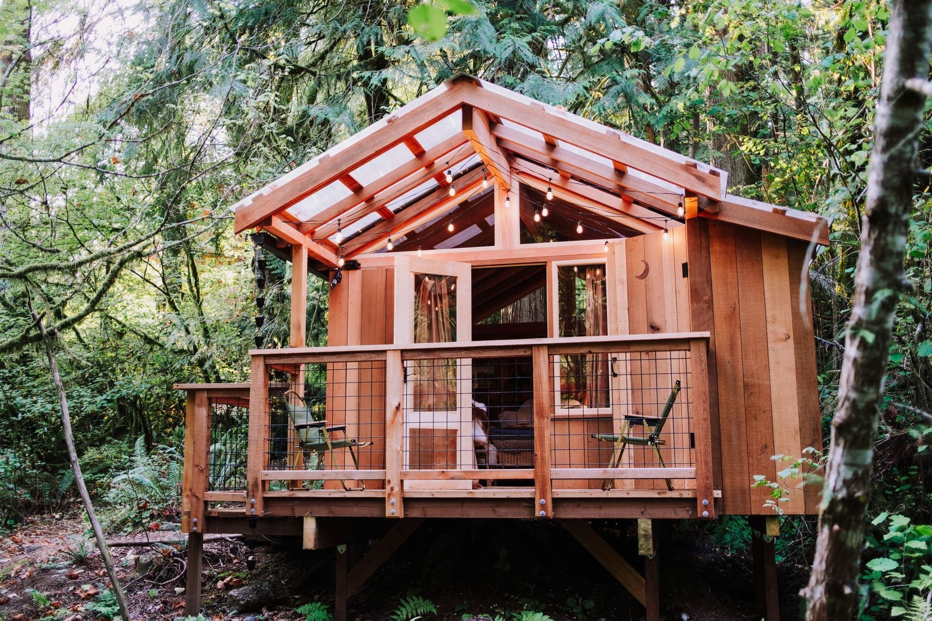Small cedar cabin with a covered deck in an evergreen forest